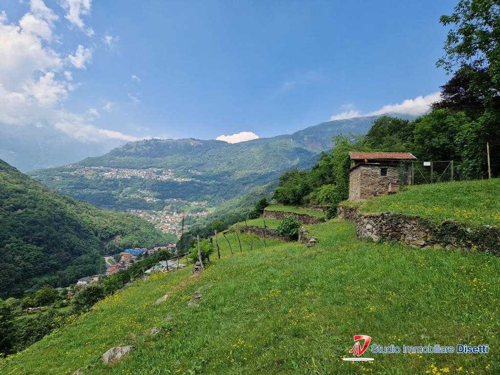 immagine annuncio 5 di 8