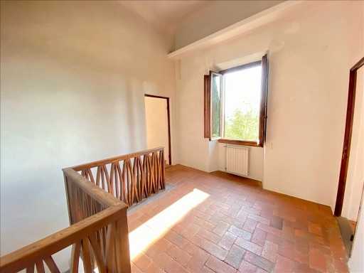  - foto 39