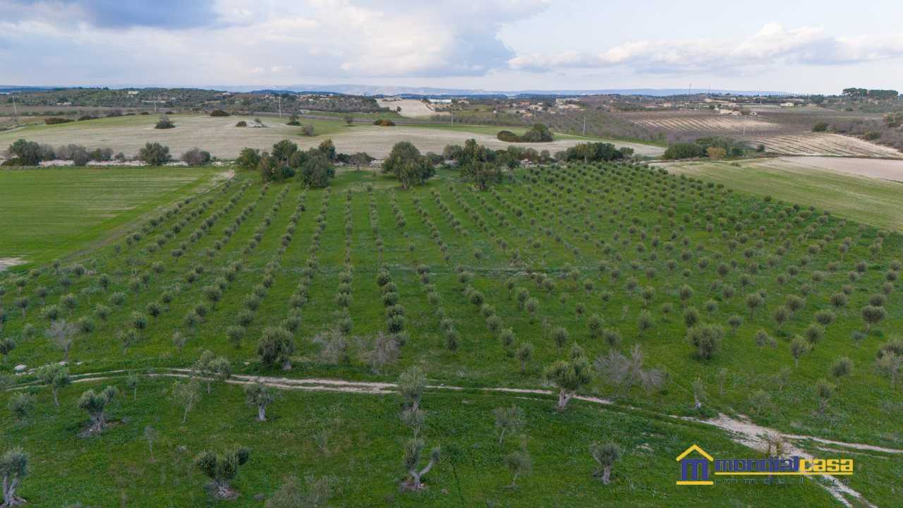 Terreno agricolo in Vendita a Noto contrada Agliastro