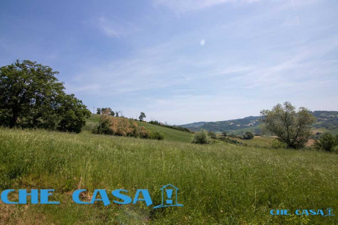  - foto 4