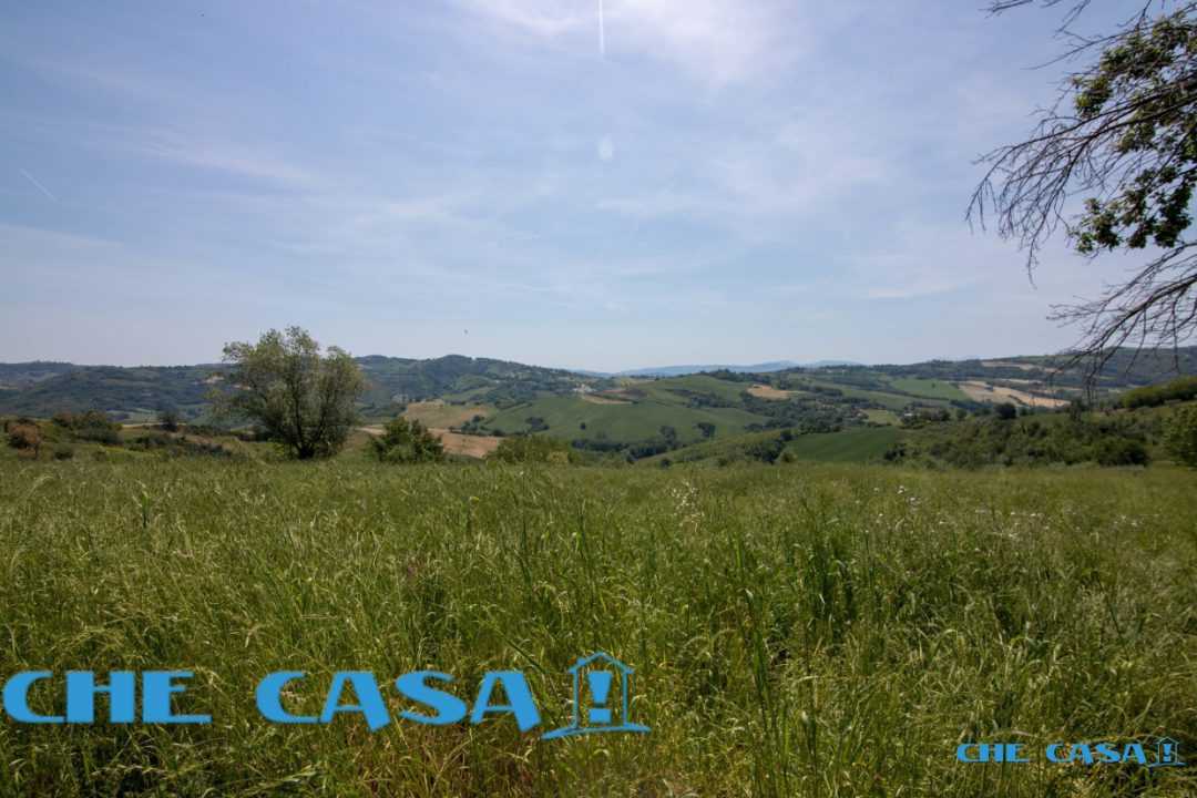  - foto 5