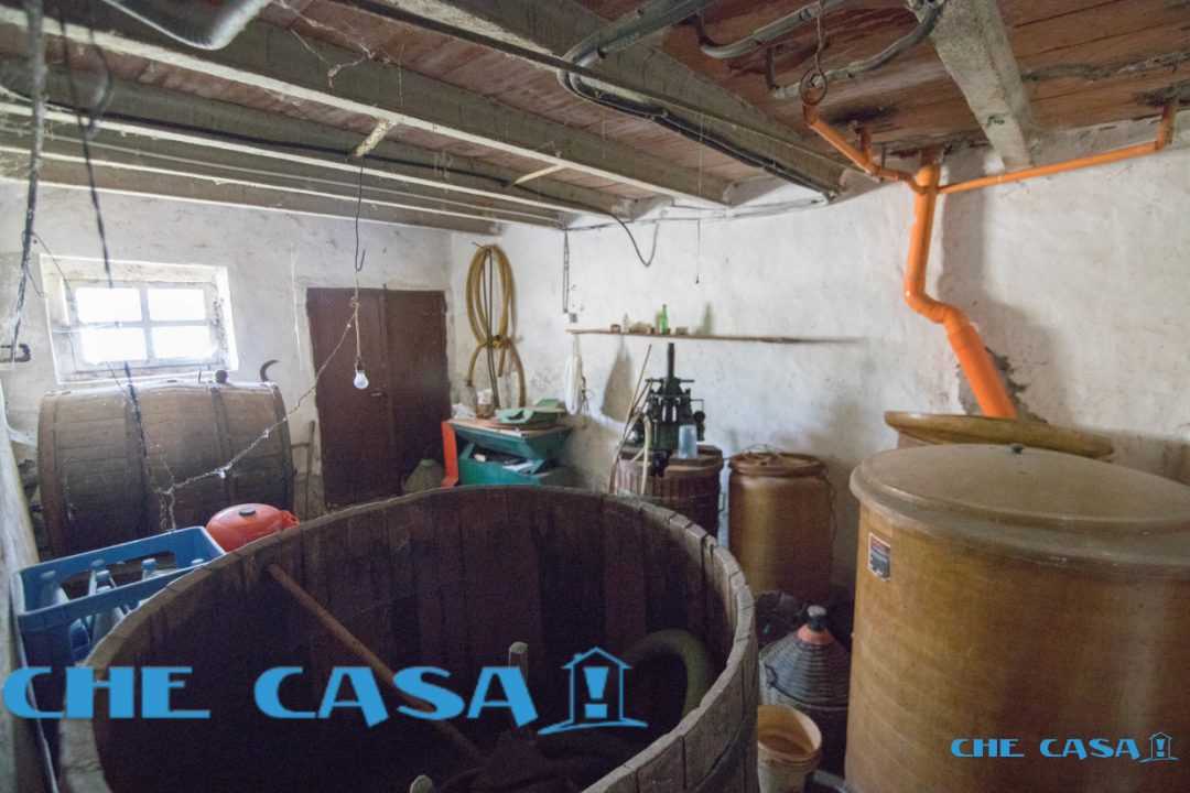  - foto 8