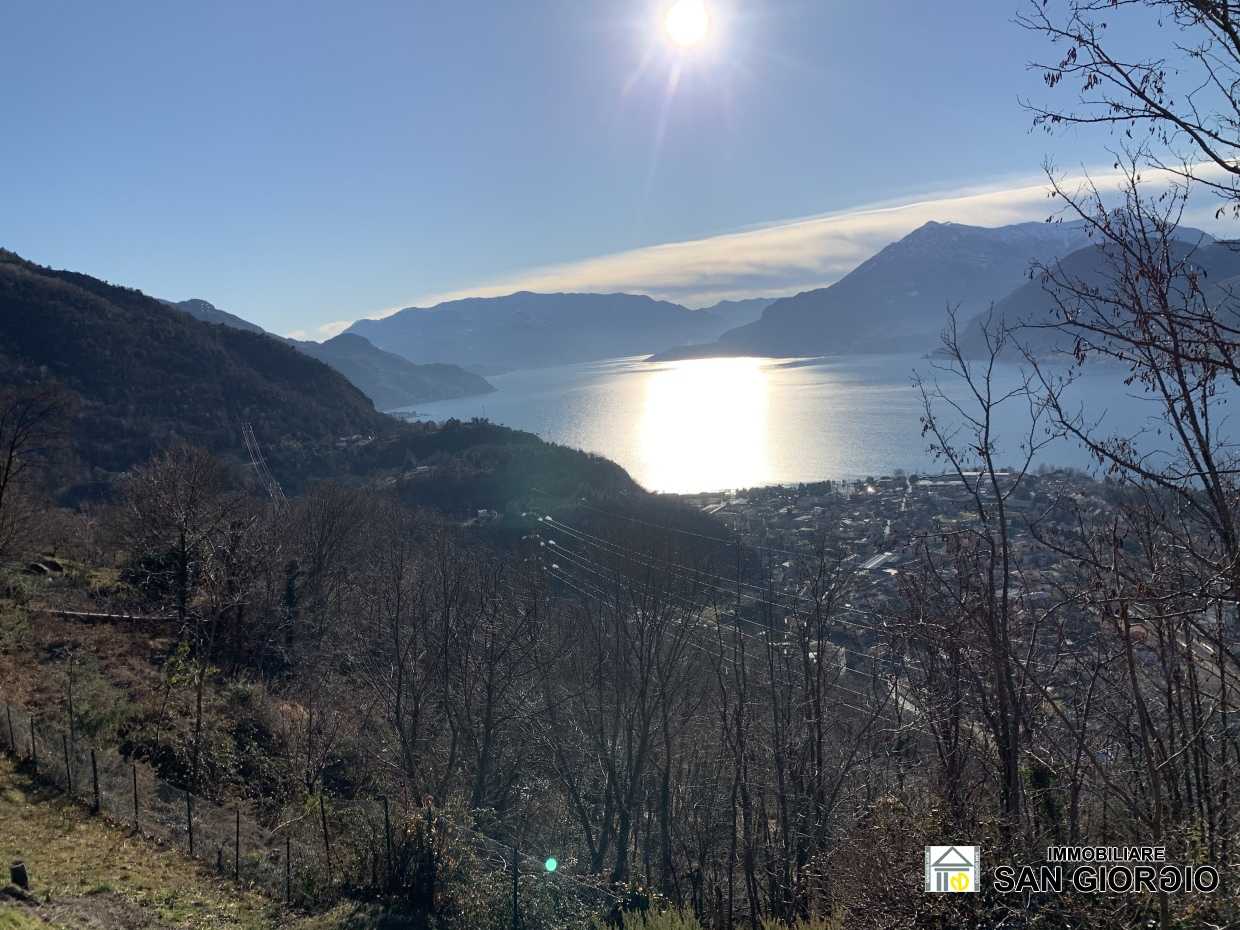 immagine annuncio 2 di 6