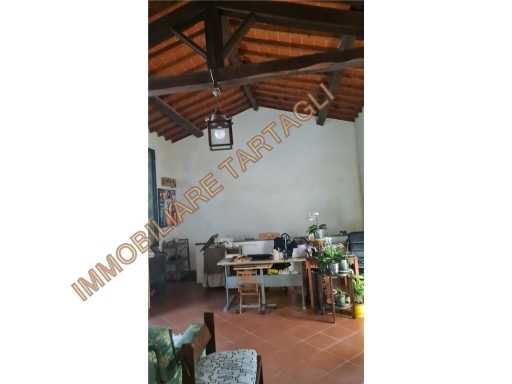  - foto 14