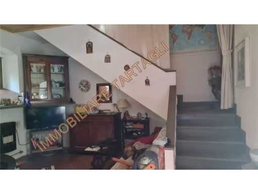  - foto 9