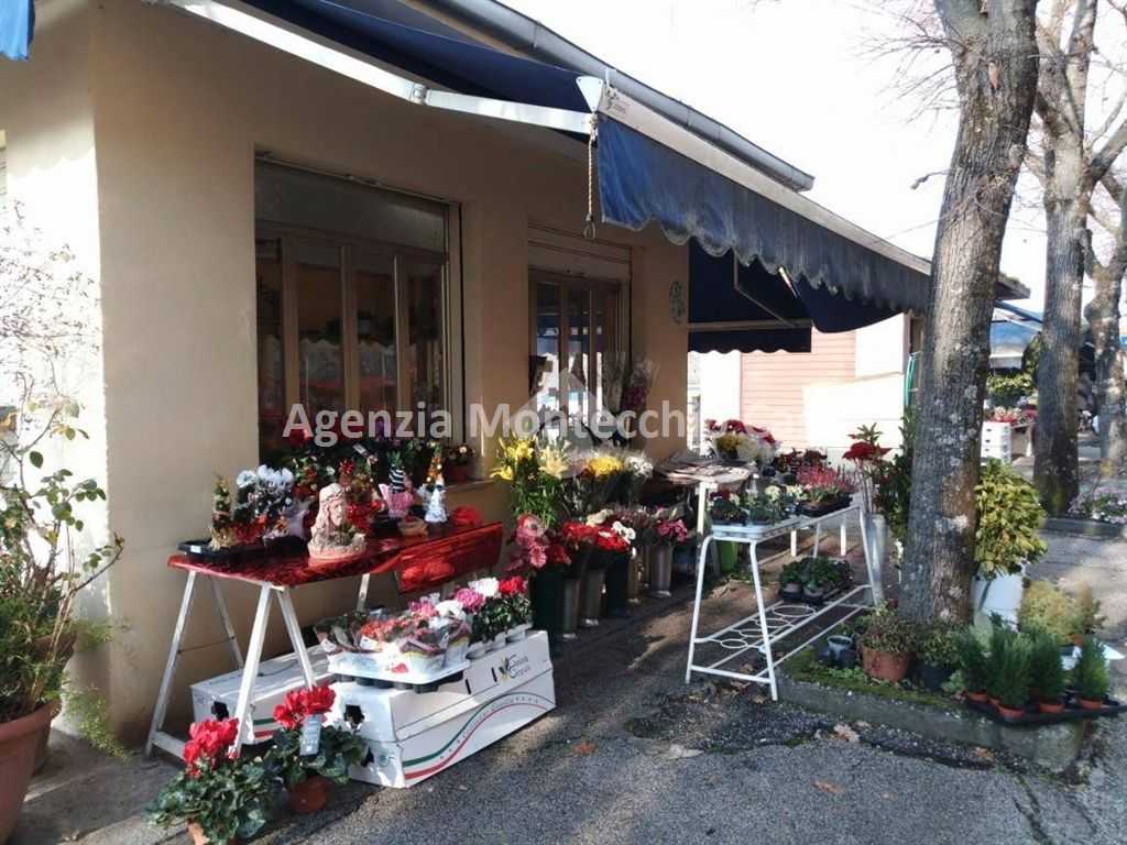 Attività  commerciale, Vallefoglia