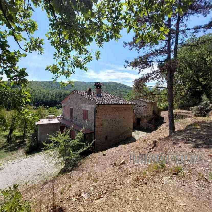  - foto 6