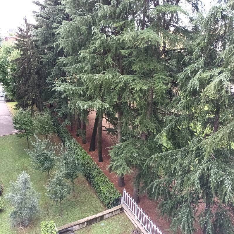  - foto 28