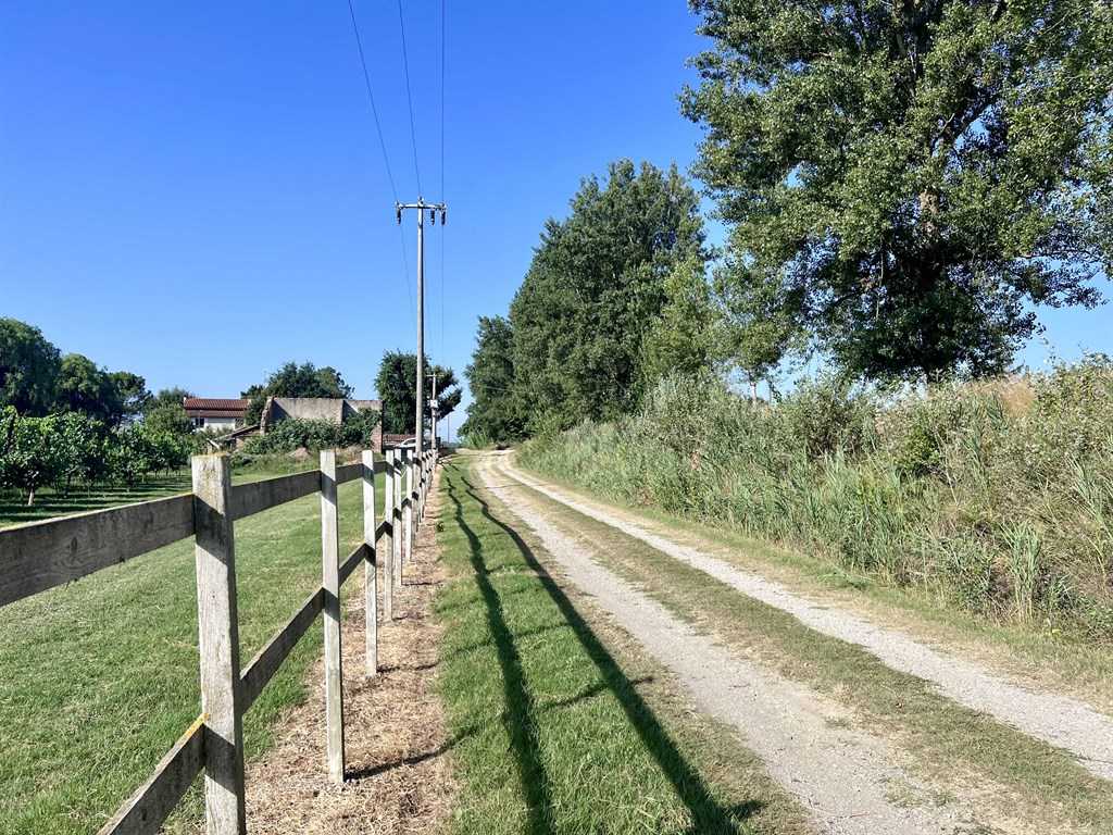  - foto 20