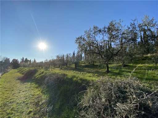 Terreno agricolo CARCHERI 200, Scandicci