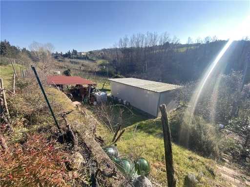  - foto 13