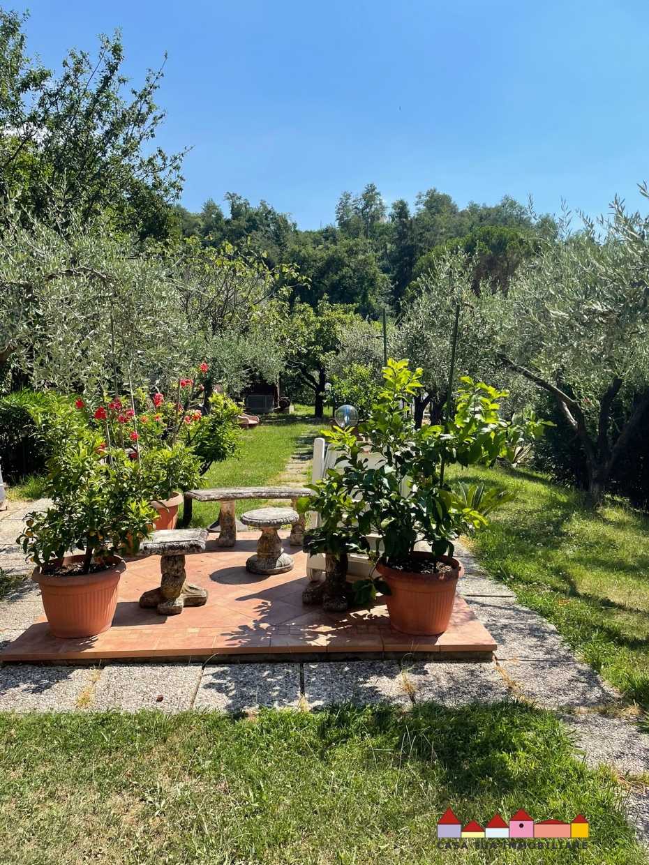 immagine annuncio 4 di 10