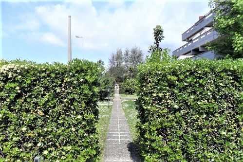immagine annuncio 8 di 14