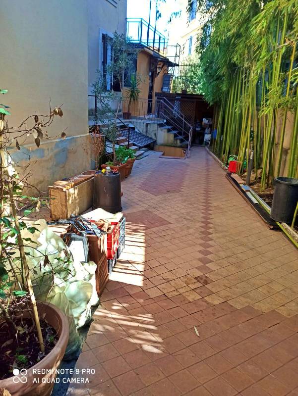  - foto 16