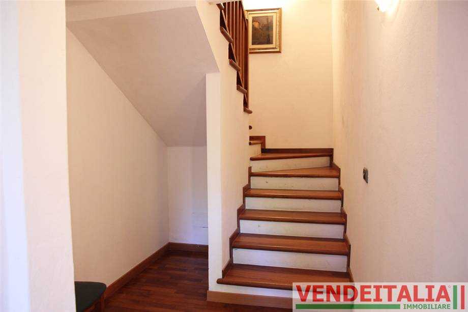  - foto 12