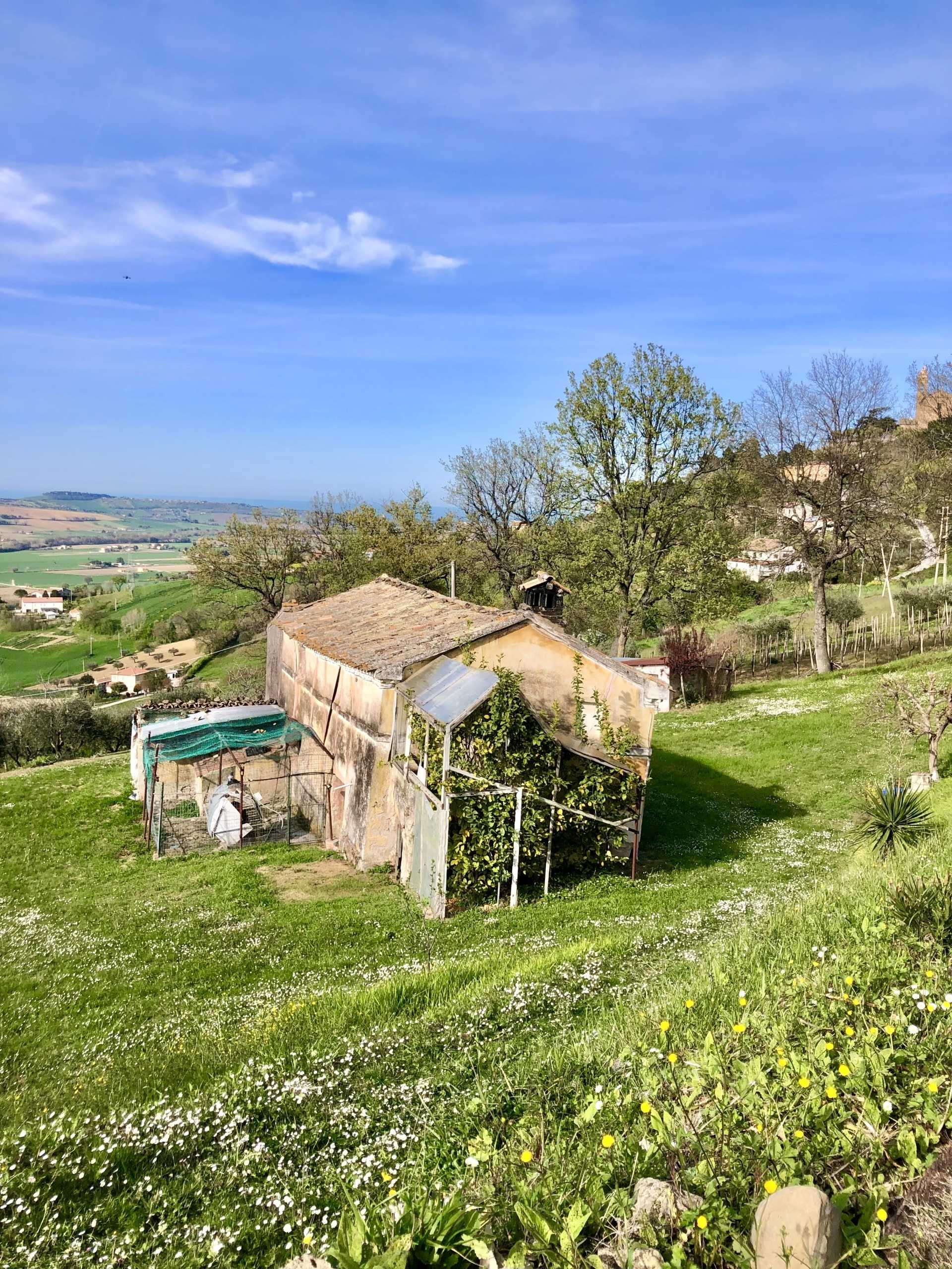 immagine annuncio 6 di 15