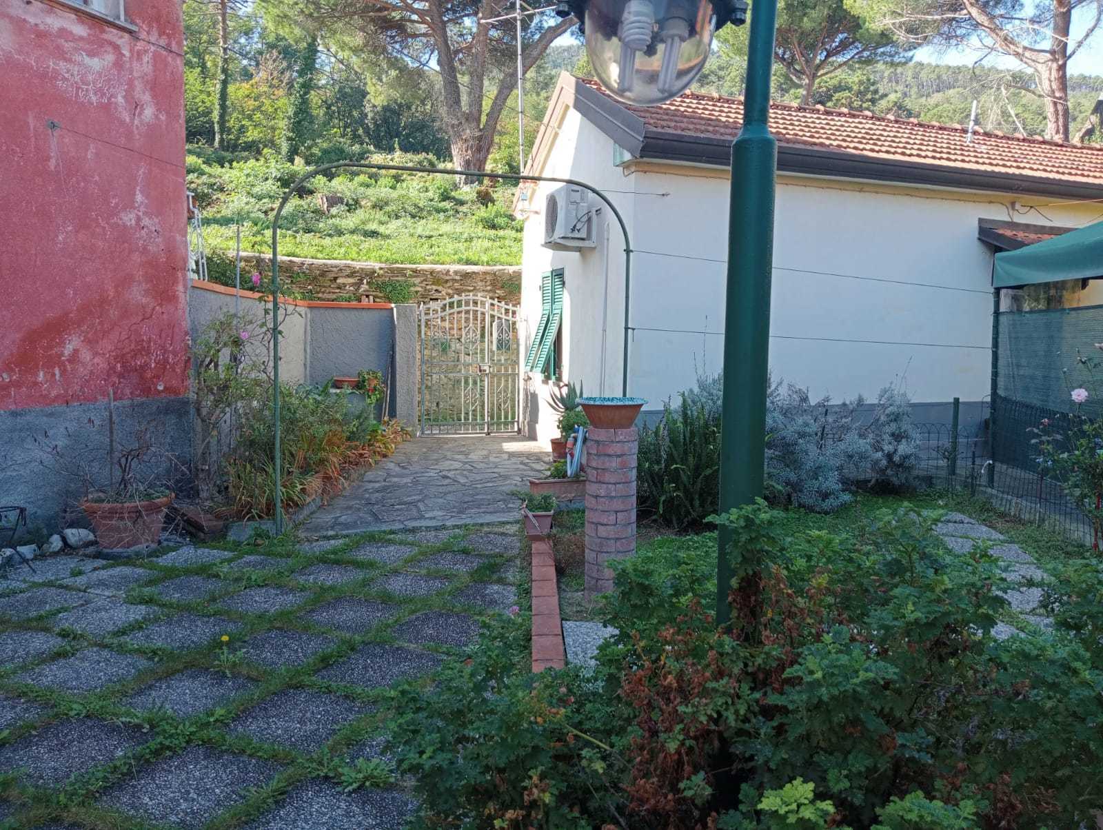 immagine annuncio 6 di 14