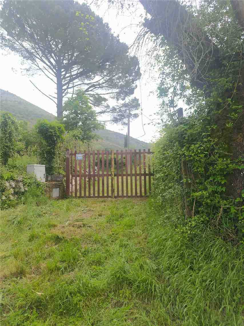  - foto 16