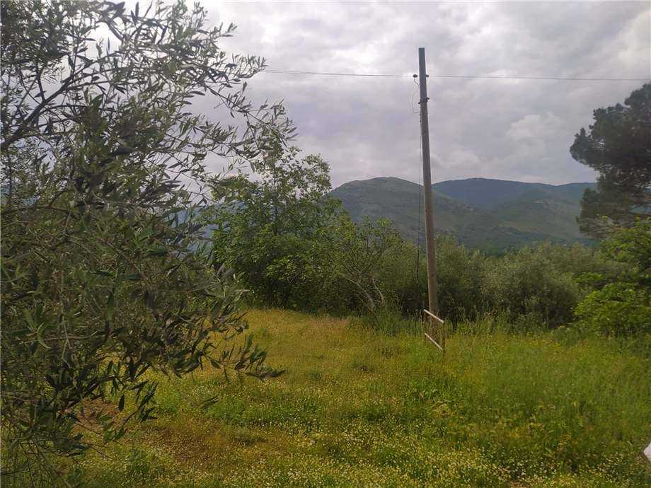  - foto 8