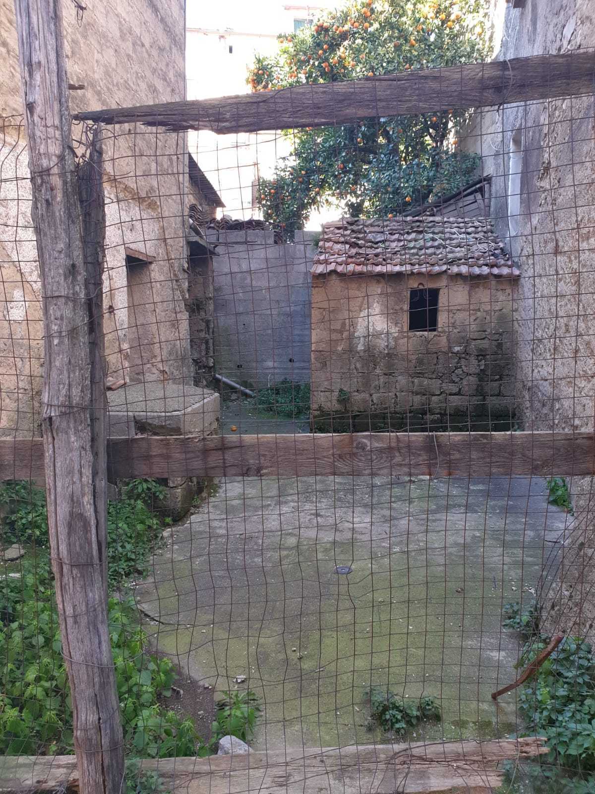immagine annuncio 2 di 7