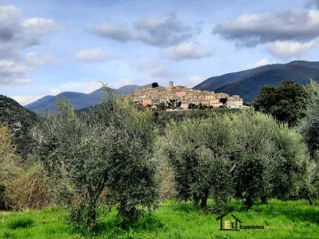 immagine annuncio 4 di 7