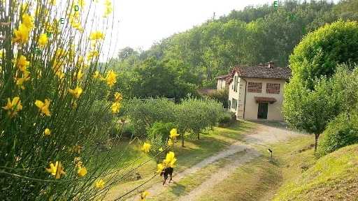  - foto 3