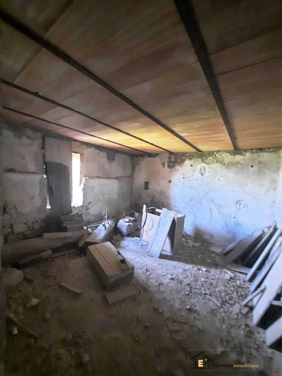 immagine annuncio 3 di 7