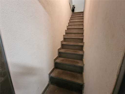  - foto 15