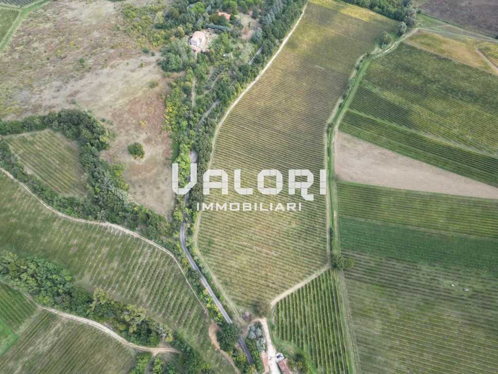  - foto 12