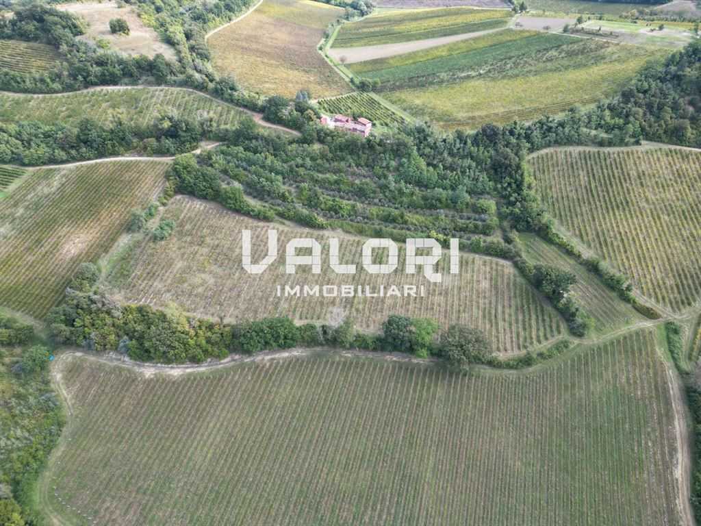  - foto 14