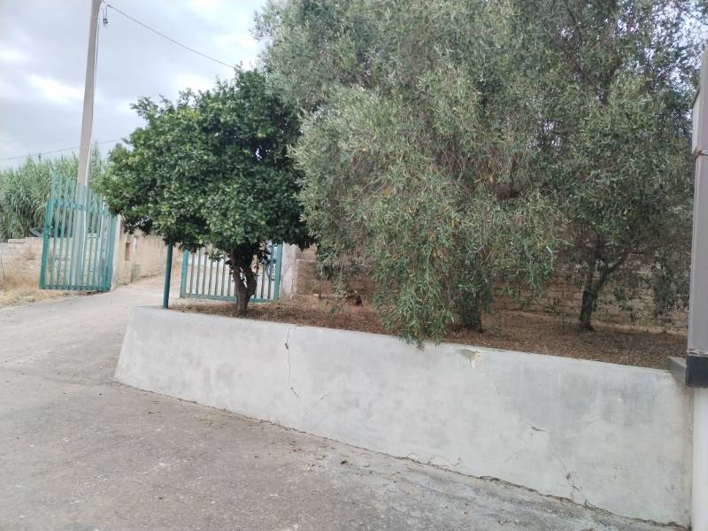 immagine annuncio 5 di 14