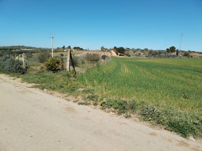 immagine annuncio 1 di 6
