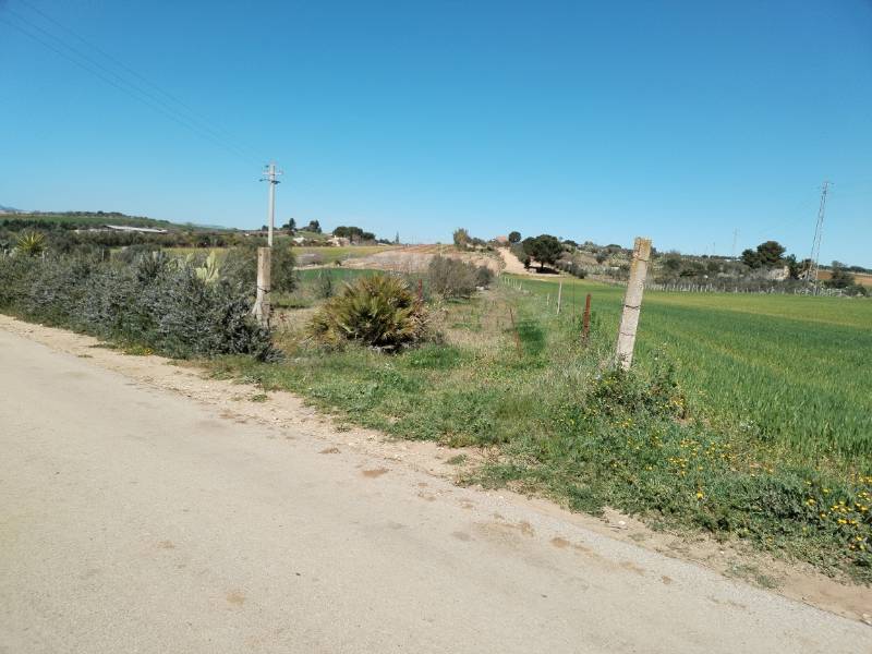 immagine annuncio 4 di 6