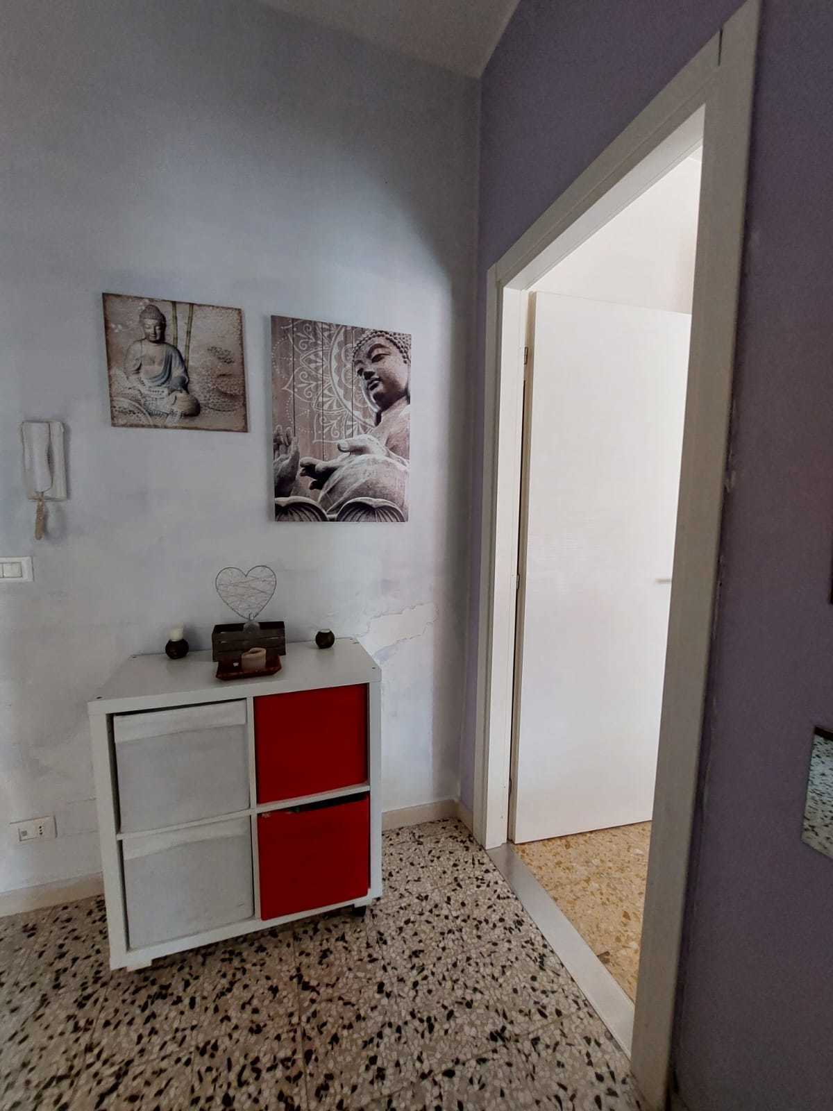 immagine annuncio 6 di 14