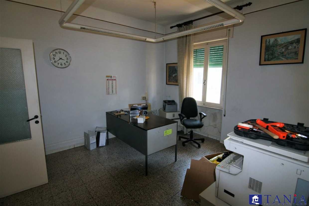 immagine annuncio 3 di 8
