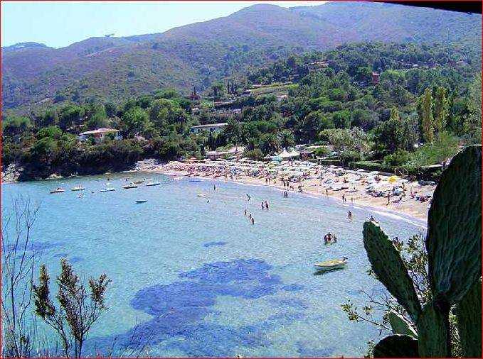 immagine annuncio 8 di 9