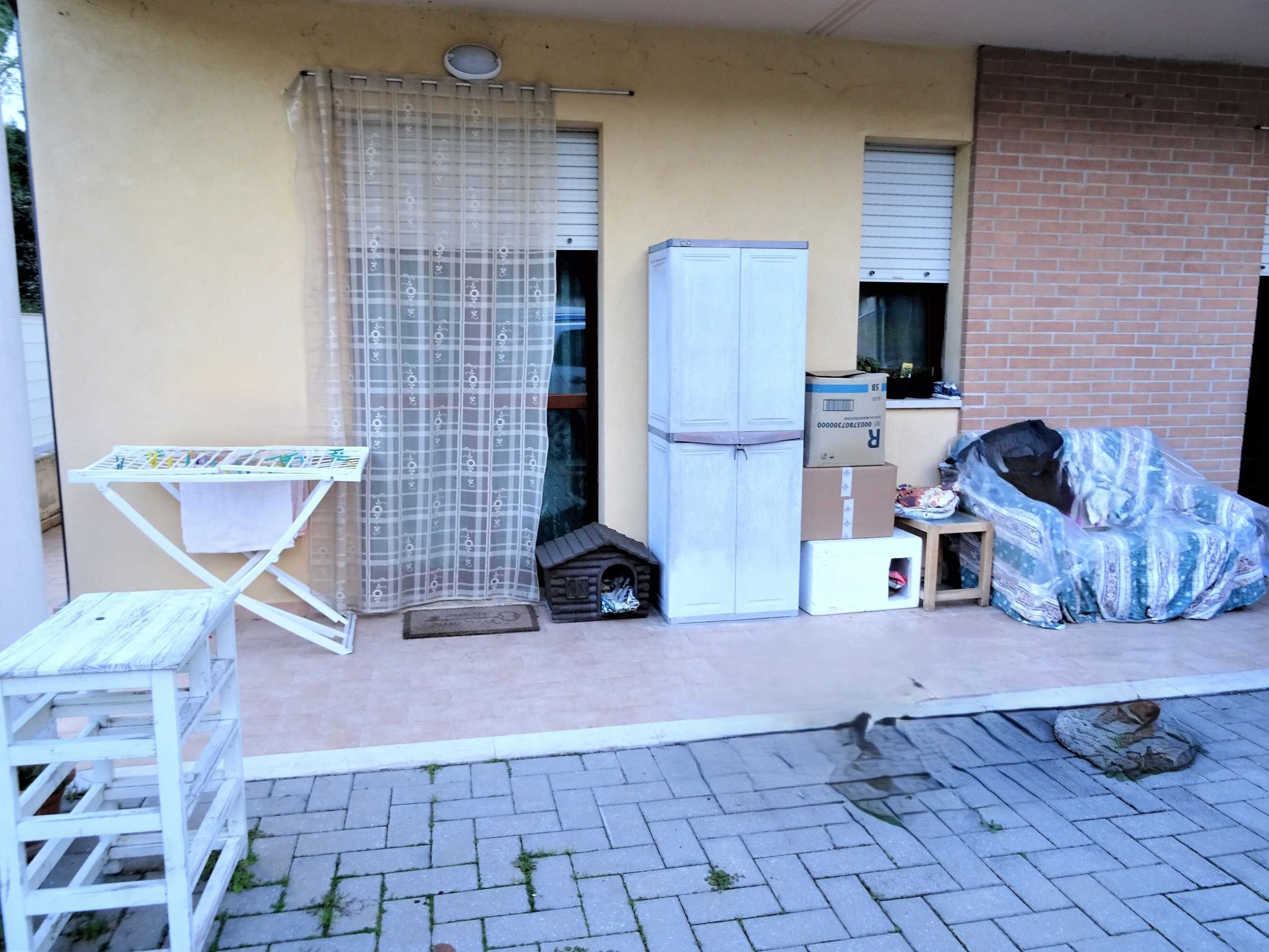 immagine annuncio 9 di 12
