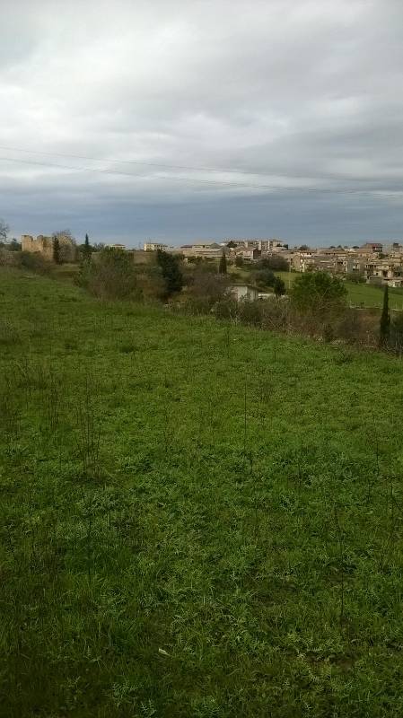 immagine annuncio 4 di 6
