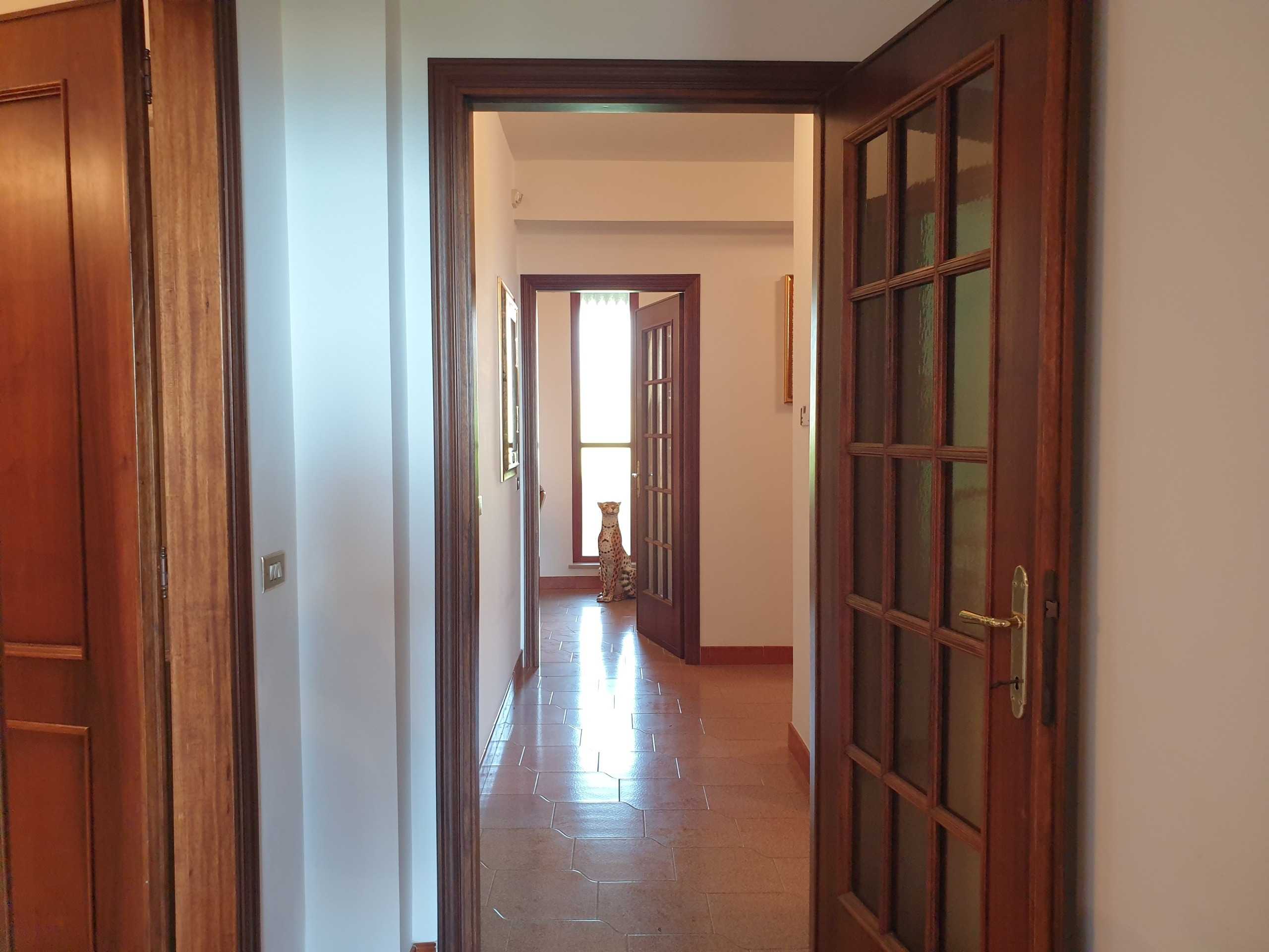 - foto 23