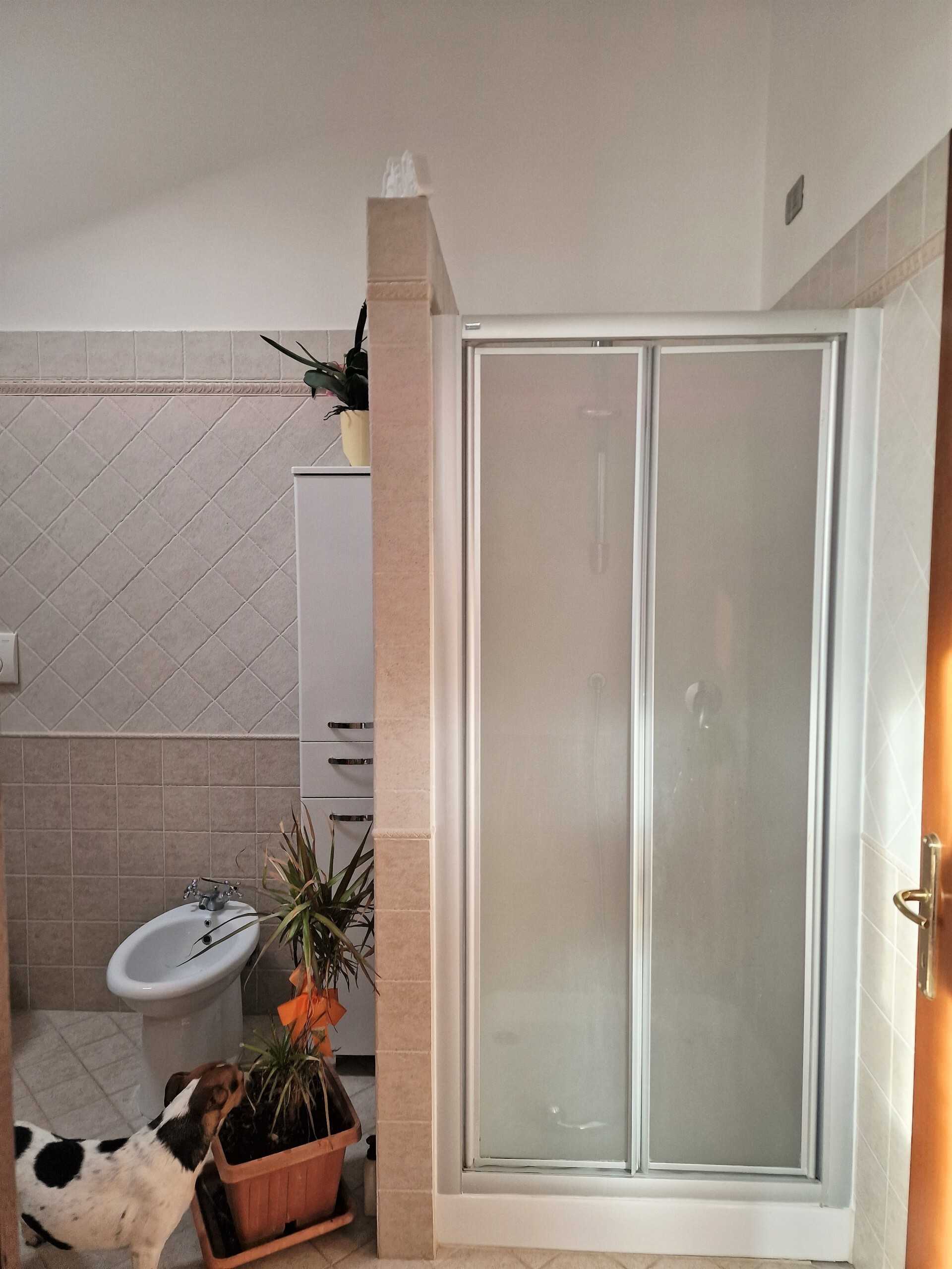  - foto 36