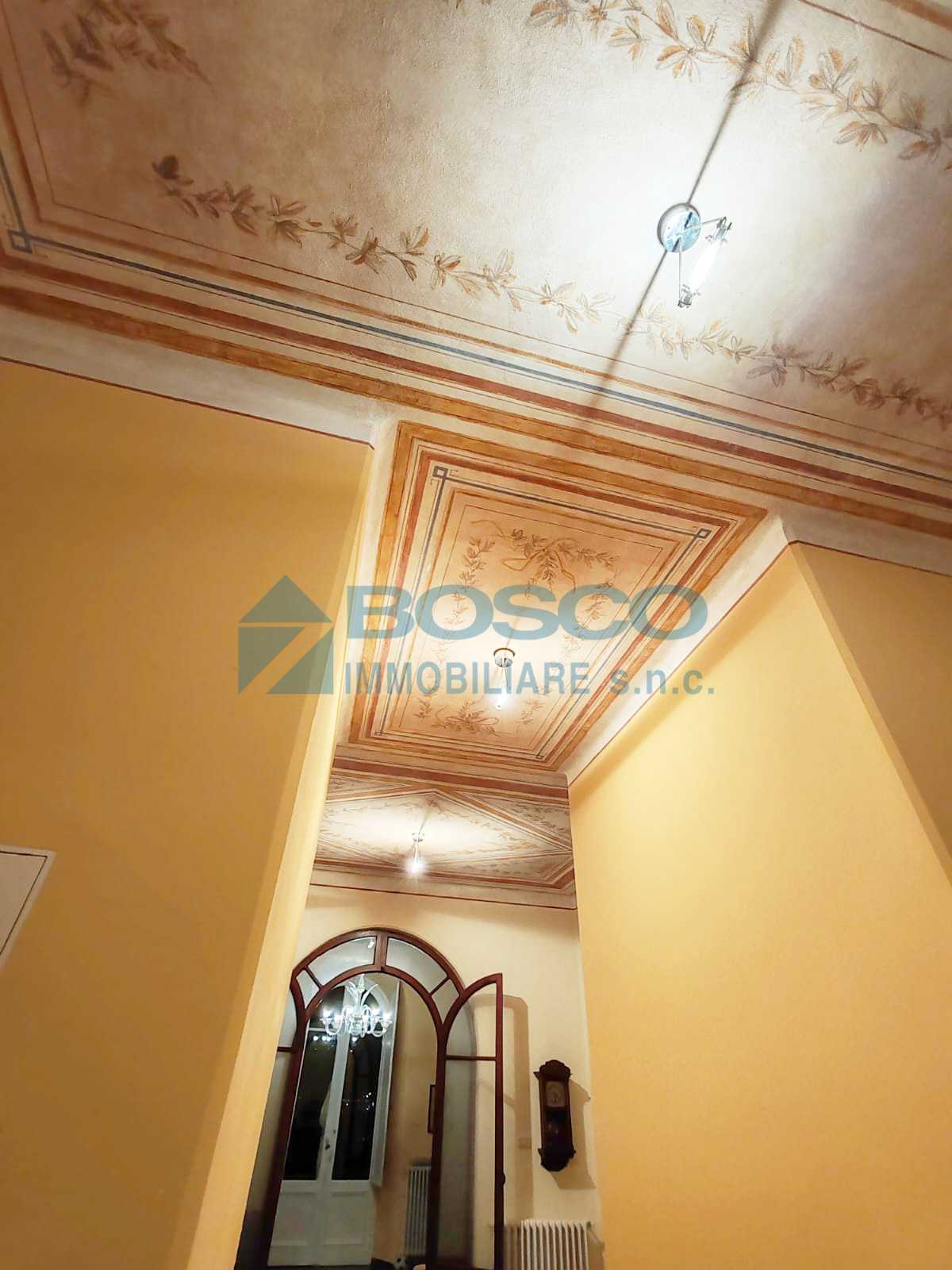  - foto 11