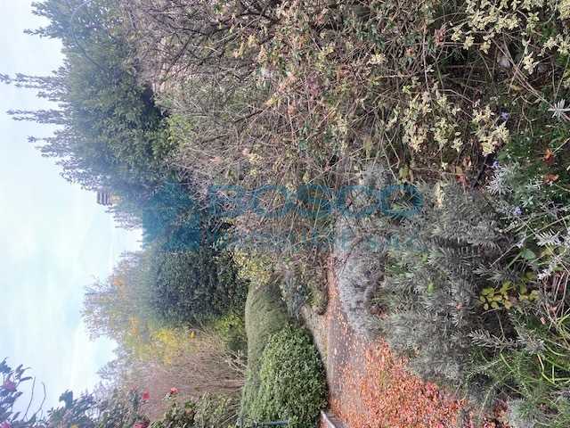  - foto 19