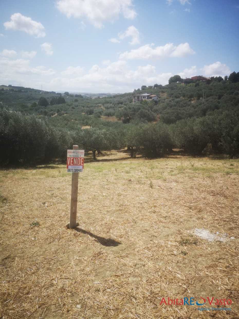 immagine annuncio 3 di 9