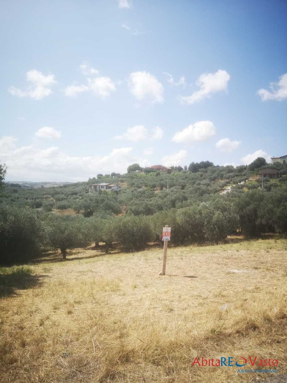 immagine annuncio 6 di 9