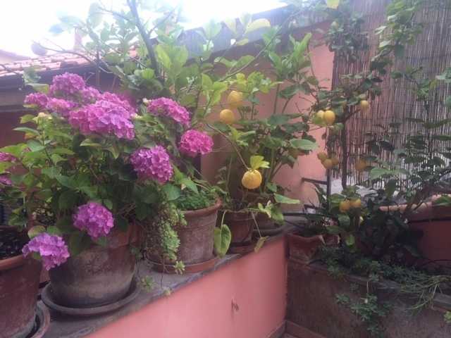 - foto 9