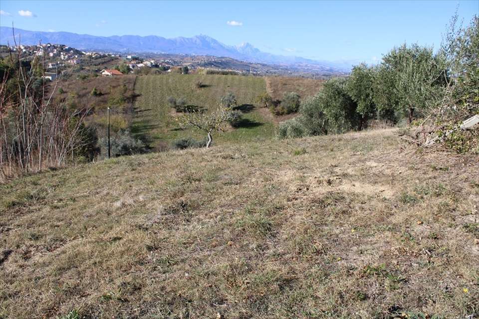 immagine annuncio 1 di 6