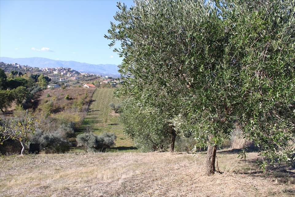 immagine annuncio 2 di 6