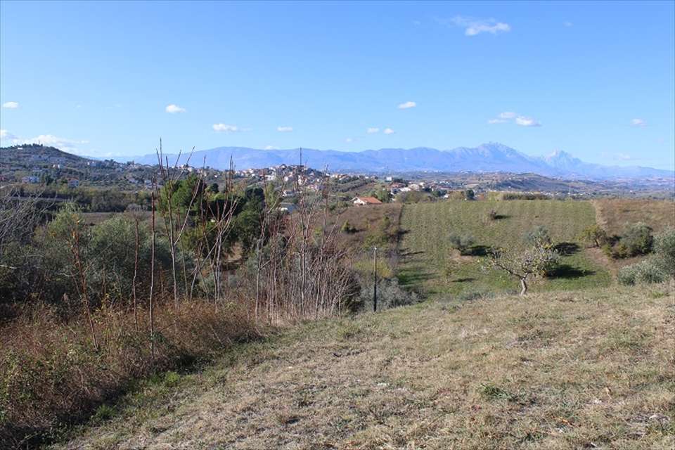 immagine annuncio 3 di 6