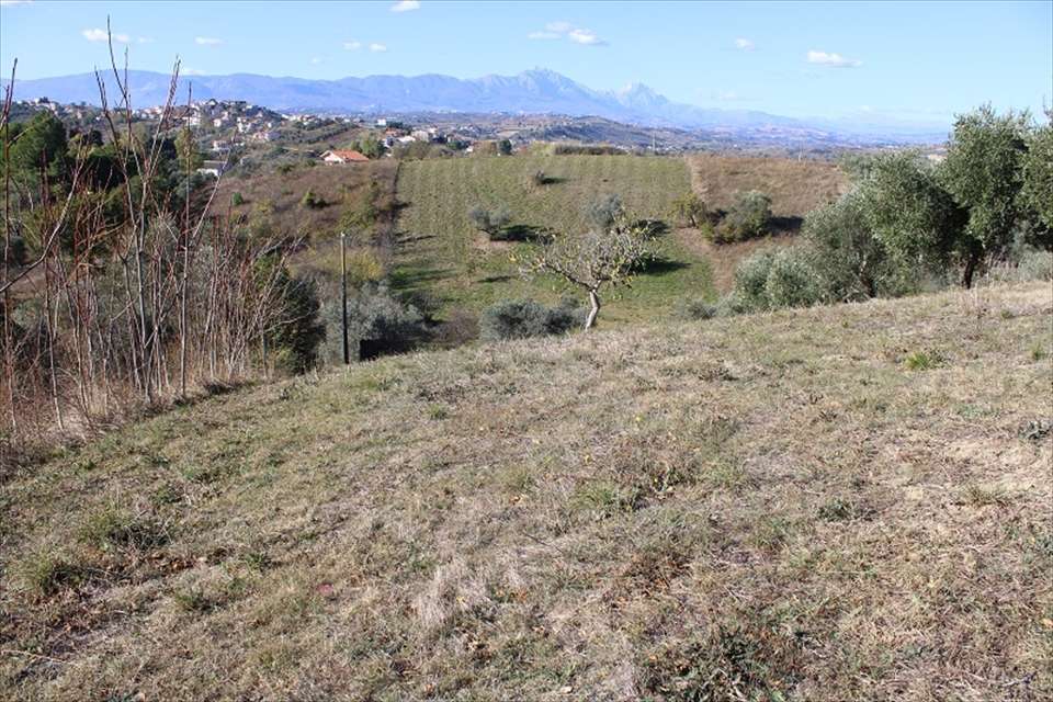 immagine annuncio 4 di 6