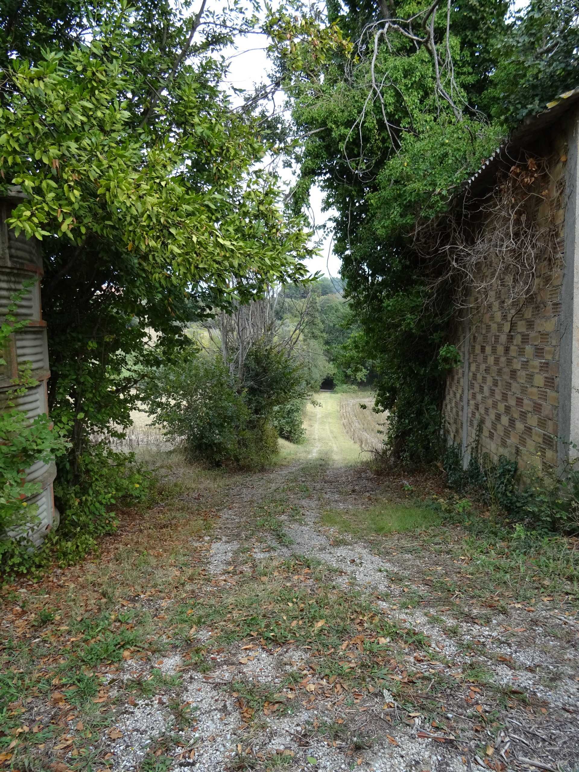  - foto 7